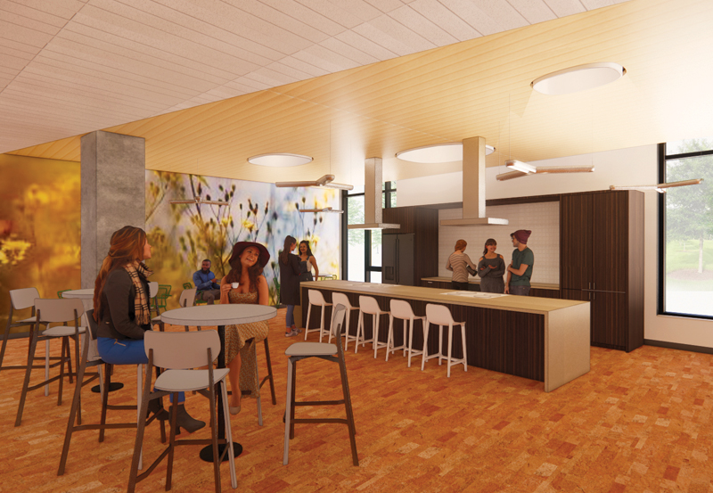 Rendering of example of community shared kitchen with students sharing kitchen space.