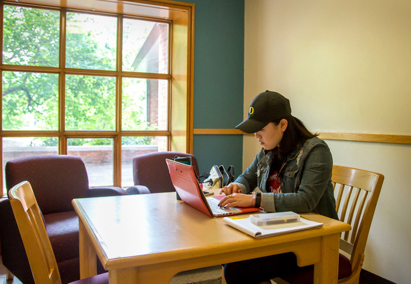 Photo of student using Carson study lounge