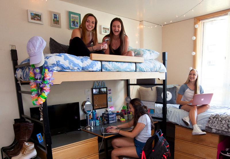 Photo of Living-Learning Center hall mates conversing and studying in a residence room.
