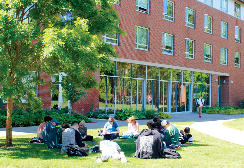 Students sit on Living-Learning Center lawn
