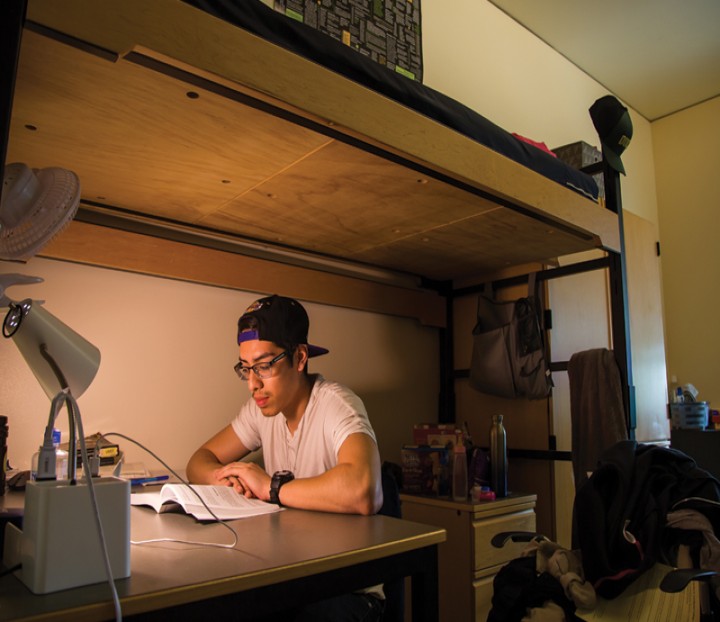 Student studying in a Global Scholars Hall single room