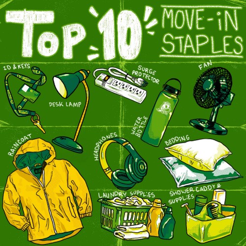 Top 10 move in items