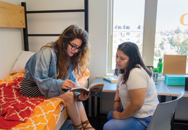 Students study together in a Living-Learning Center triple room
